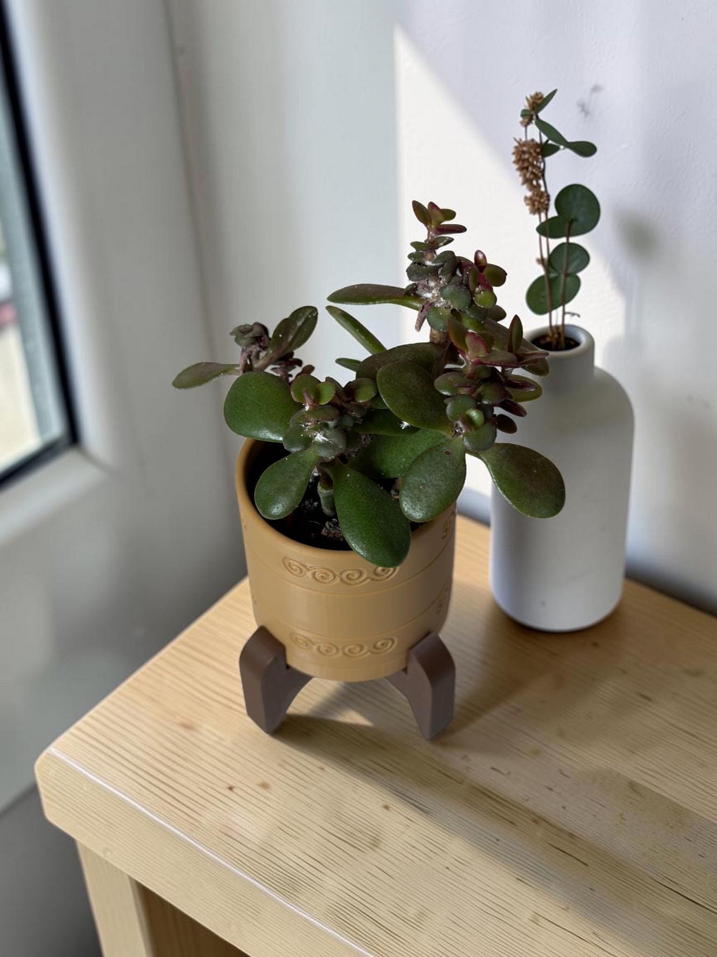 3D Printed Circle Planter w/ Stand & Removable Drip Tray - Snail