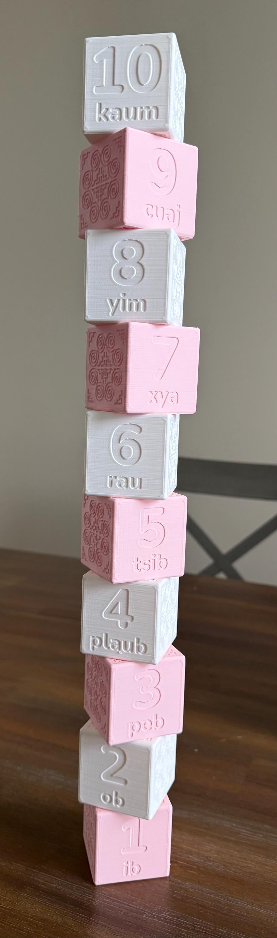 3D Printed Numbered Blocks (set of 10) - Hmong Numbers
